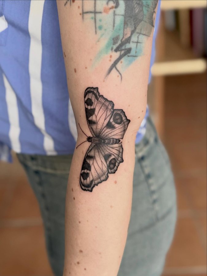 Borboleta